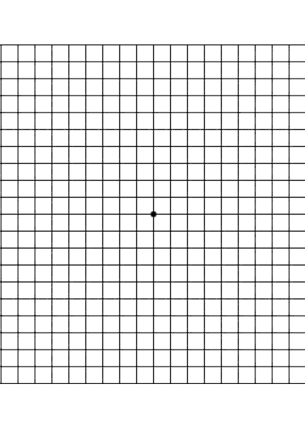 Amsler grid basic version with dot in center Vector Image