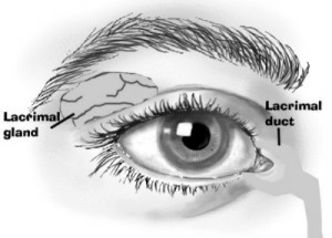 Ephiphora: What Causes Teary Eyes?